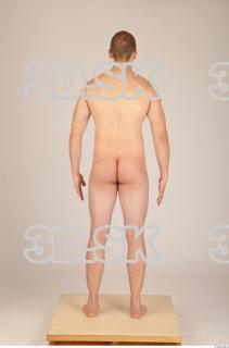 Body texture of Dexter 0044